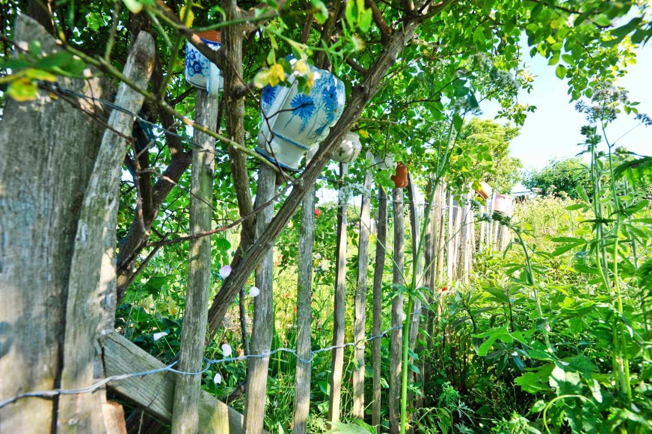 Ferienwohnungen Im Fischerdorf Und Neu Reddevitz Exterior foto